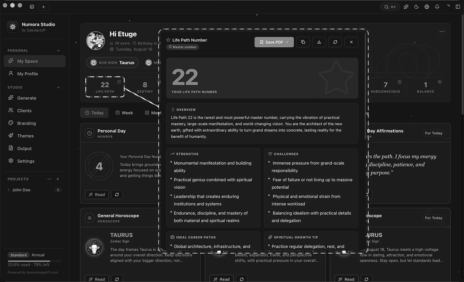Numora Studio life path report reader with structured overview, strengths and challenges.
